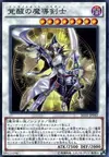 Product image for Enlightenment Paladin