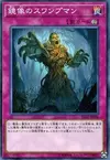 Product image for Swamp Mirrorer