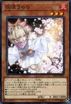 Product image for Ash Blossom & Joyous Spring