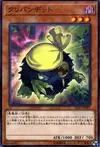 Product image for Kuribandit