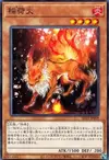Product image for Inari Fire