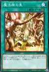 Product image for Secret Village of the Spellcasters