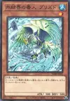 Product image for Blizzed, Defender of the Ice Barrier