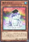 Product image for Dupe Frog