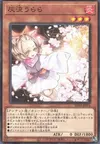 Product image for Ash Blossom & Joyous Spring