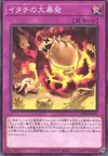 Product image for Ferret Flames
