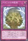 Product image for Naturia Sacred Tree