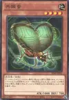 Product image for Resonance Insect