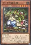 Product image for Traptrix Dionaea