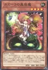 Product image for Traptrix Nepenthes