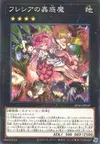 Product image for Traptrix Rafflesia