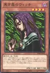 Product image for Witch of the Black Forest