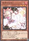 Product image for Ash Blossom & Joyous Spring