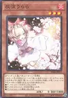 Product image for Ash Blossom & Joyous Spring