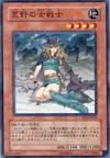 Product image for Warrior Lady of the Wasteland