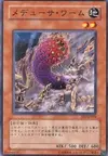 Product image for Medusa Worm