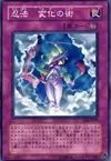 Product image for Ninjitsu Art of Transformation