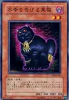 Product image for A Cat of Ill Omen