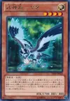 Product image for Bujingi Crow
