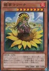 Product image for Marina, Princess of Sunflowers