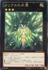 Product image for Meliae of the Trees