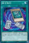 Product image for Fusion Tag