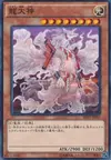 Product image for Ryu Okami