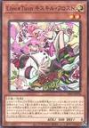 Product image for Live☆Jumelle Ki-sikil Gel