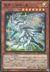 Product image for Nuit Étoilée, Dragon Étoilé