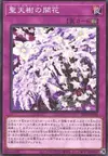 Product image for Floraison Solairavalon