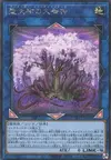Product image for Dryarbre Solairavalon