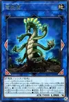 Product image for Agave Dragon