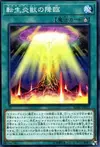 Product image for Rise of the Salamangreat