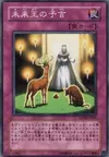 Product image for Enlightenment