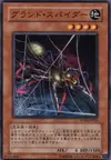 Product image for Ground Spider