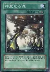 Product image for Spiritual Forest