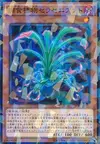 Product image for Fourmisarracenia Prédaplante