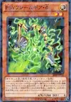 Product image for PSY-Framegear Delta
