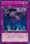 Product image for Call of the Haunted