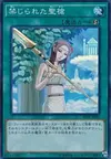Product image for Forbidden Lance