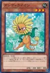 Product image for Dandylion
