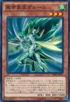 Product image for Garum the Storm Vassal