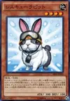 Product image for Rescue Rabbit