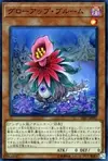Product image for Glow-Up Bloom