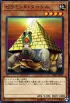 Product image for Pyramid Turtle