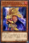 Product image for Chevalier Valkyrie