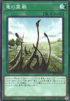 Product image for Dragon Shrine