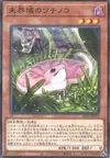 Product image for Danger!? Tsuchinoko?
