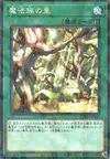 Product image for Secret Village of the Spellcasters