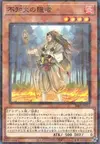 Product image for Shiranui Solitaire